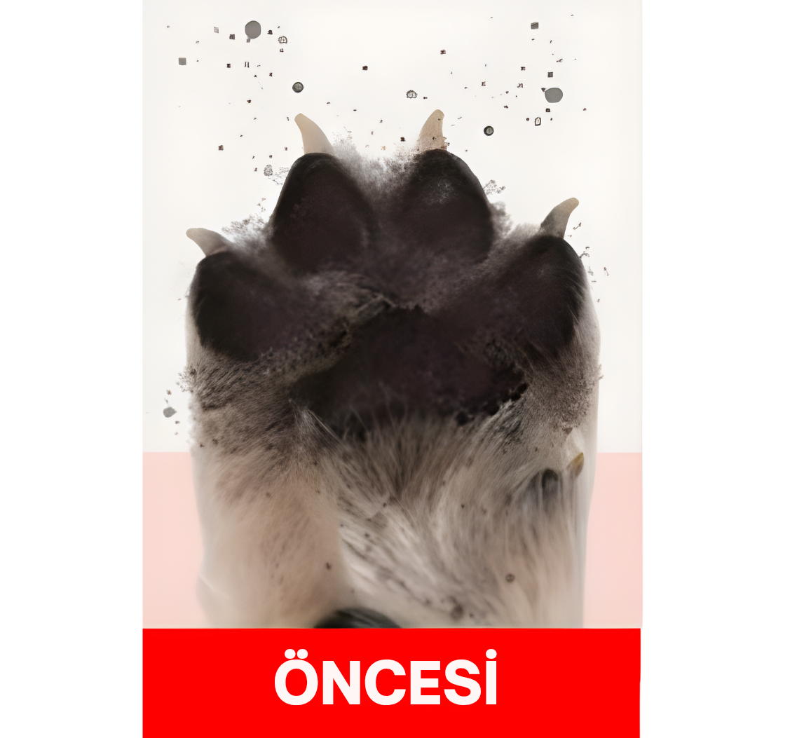 PATİMİA™ PatiPaw