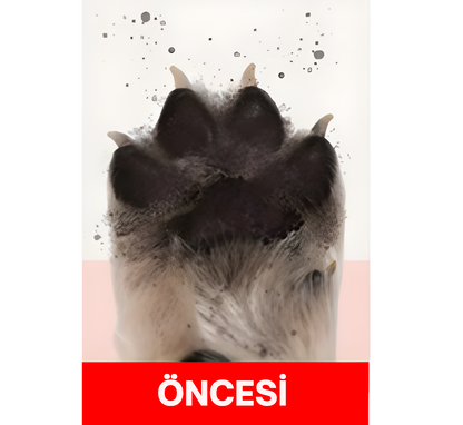 PATİMİA™ PatiPaw